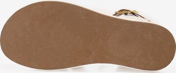 INUOVO Sandalen met riem in Beige