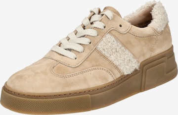 Baskets basses Paul Green en marron : devant