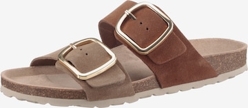 Aniston Mules in Grey: front