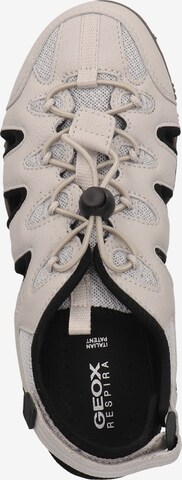 GEOX Wandelsandalen 'Strel B' in Beige