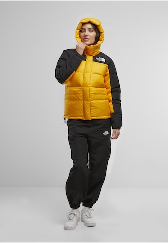 Giacca per outdoor 'Hmlyn' di THE NORTH FACE in oro