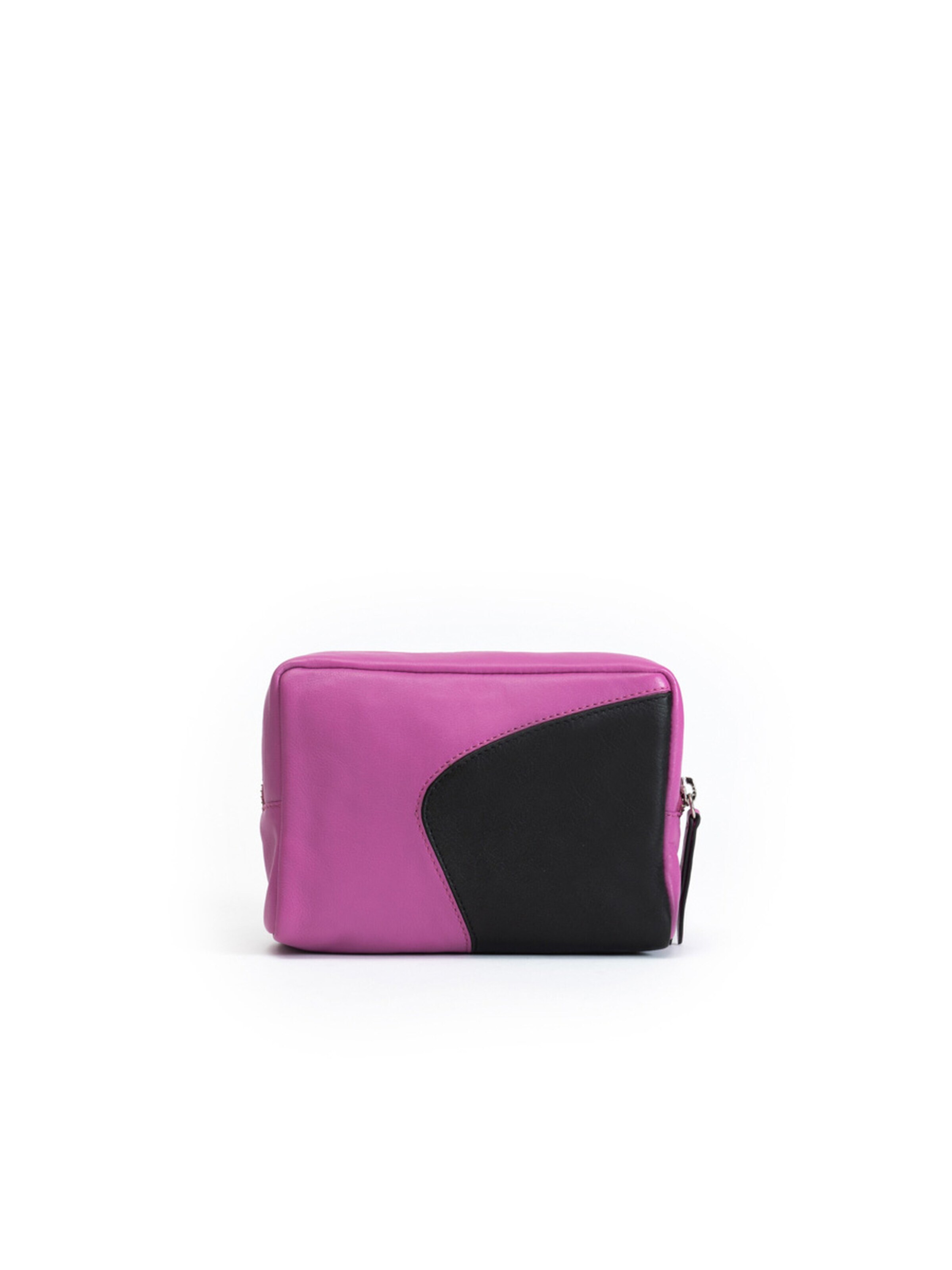 Clio Case in Purple