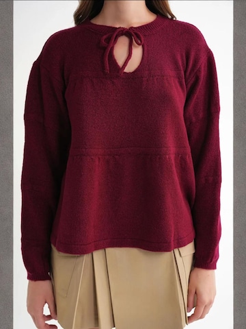 Pull-over 'Pullover' MixRay en rouge