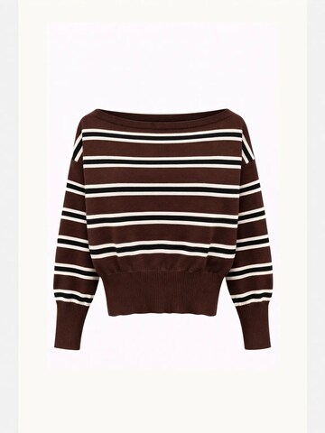Pullover di MixRay in marrone