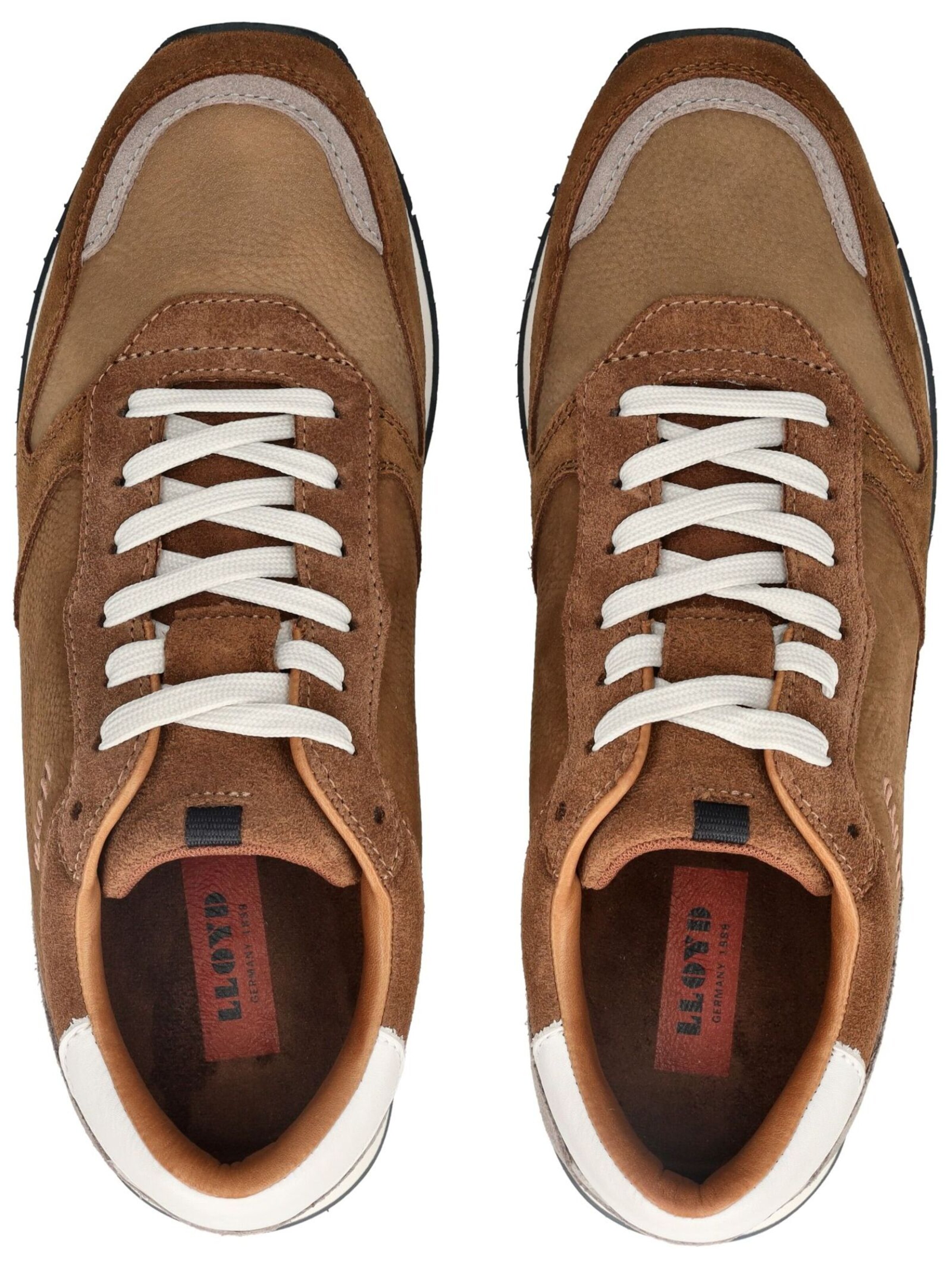 Sneaker bassa di LLOYD in marrone