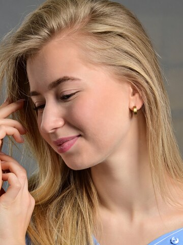 Akzent Earrings 'Robyn, langlebig' in Gold: front