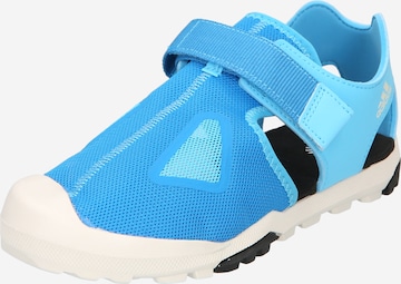 adidas Terrex Sandals 'Captain Toey' in Blue: front