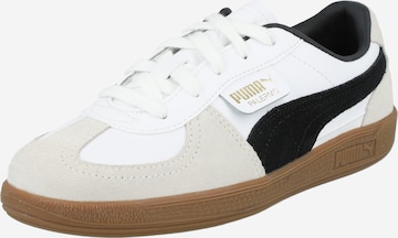 PUMA - Sapatilhas 'Palermo' em branco: frente