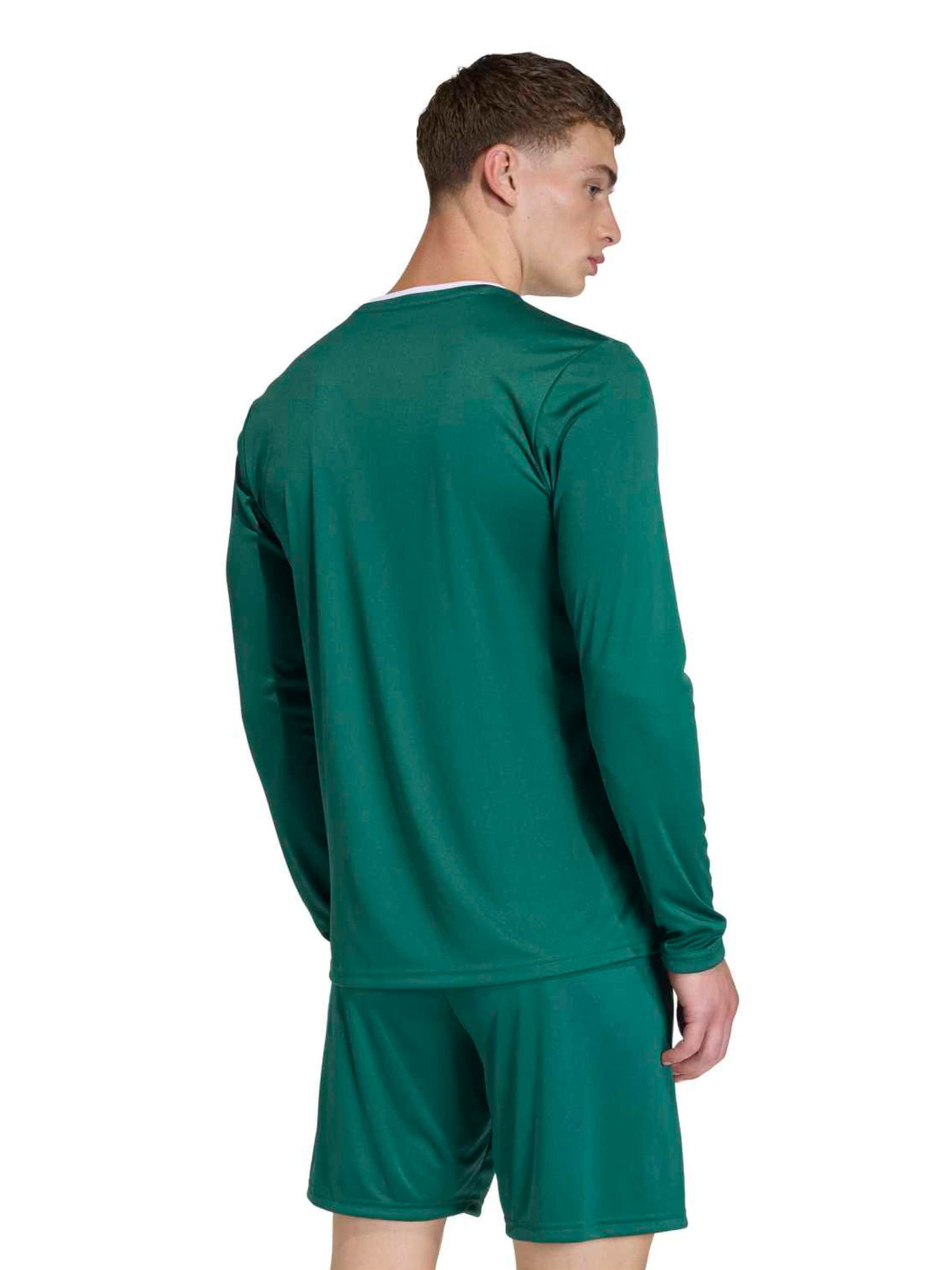 ADIDAS PERFORMANCE Funkcionális felső 'ENT26' - zöld