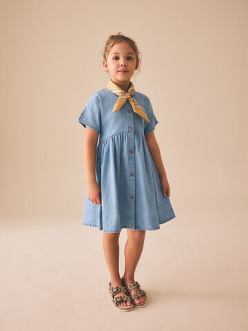 Next Dress in Blue: front