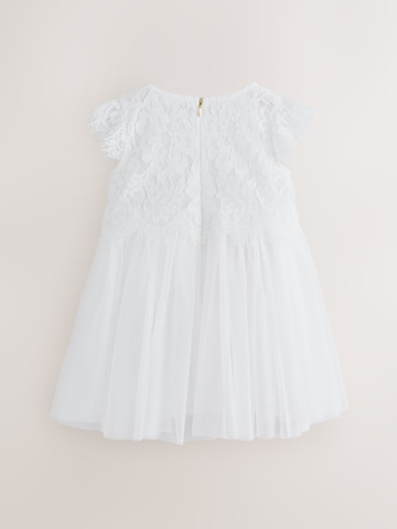 balta Baker by Ted Baker Suknelė