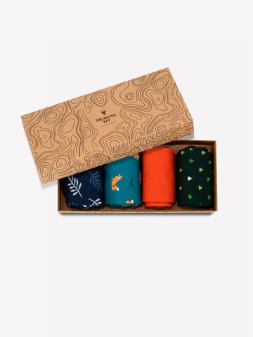 Chaussettes 'SHINRIN EDITION Gift box 4 Pack Unisex' The Arctic Bay en mélange de couleurs