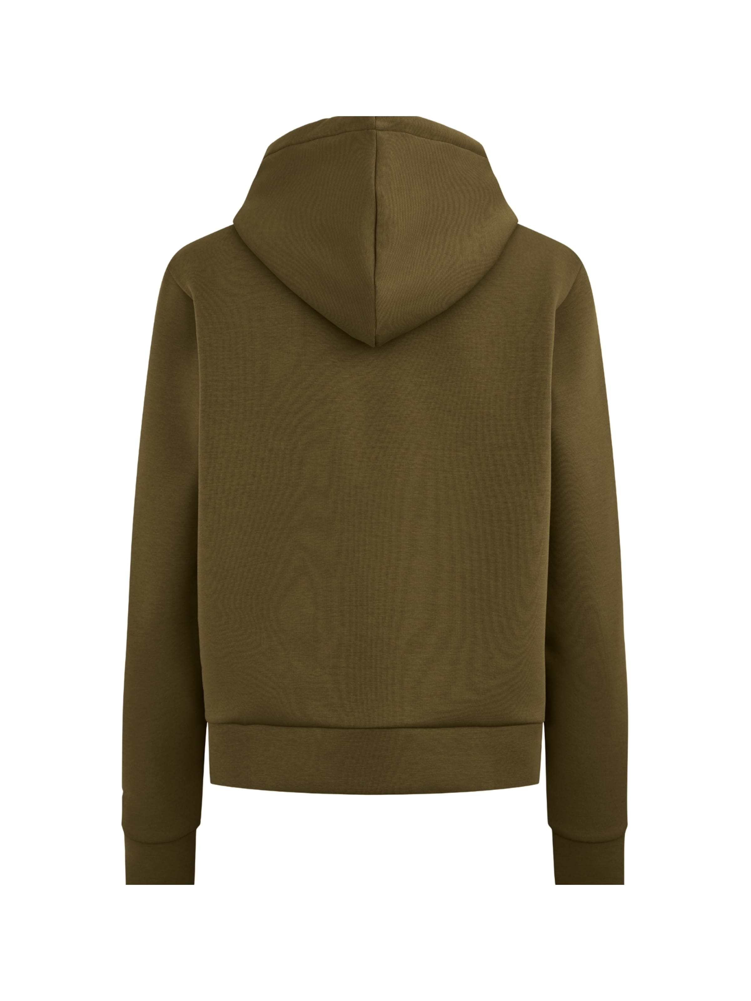 U.S. POLO ASSN. Sweatshirt 'Gold' in Grün