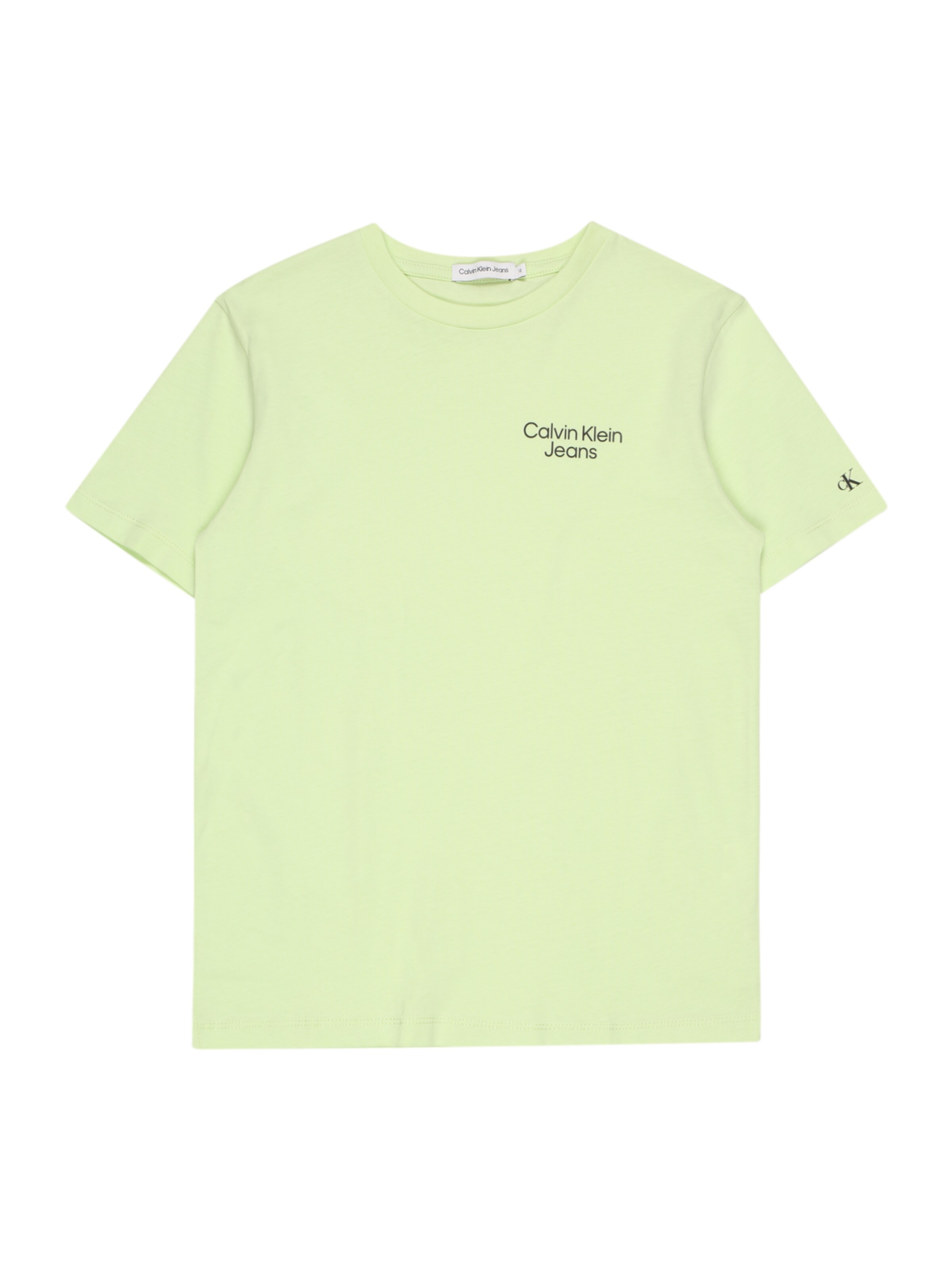 Kinder Teens (Gr. 140-176) Calvin Klein Jeans T-Shirt in Mint - YA33378