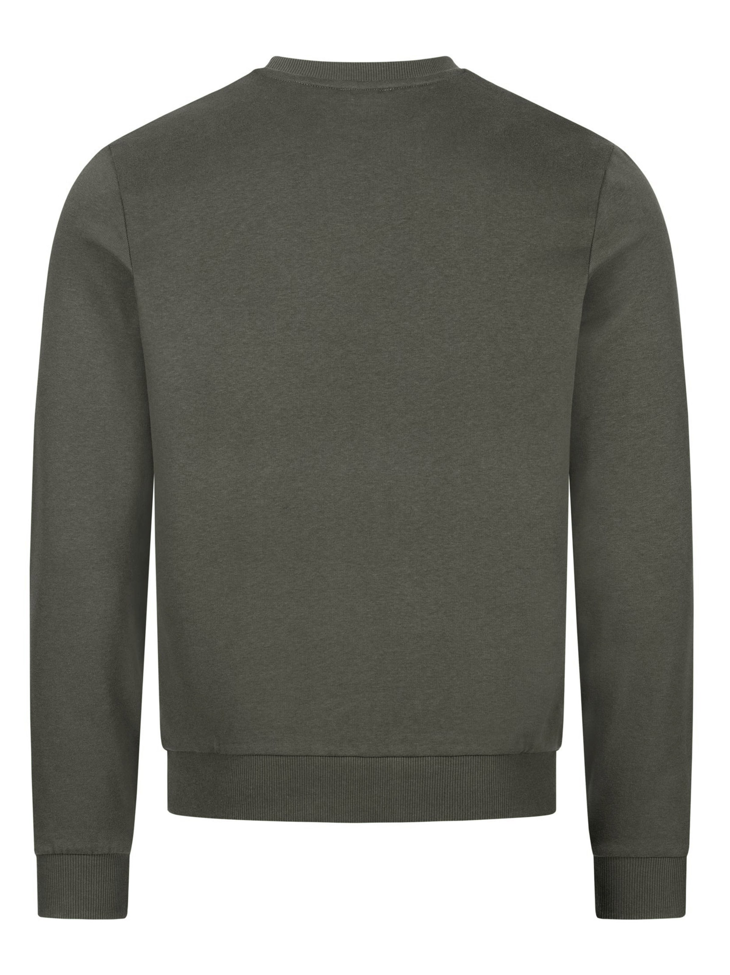 U.S. POLO ASSN. Sweatshirt in Groen