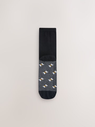 Next Socken in Schwarz