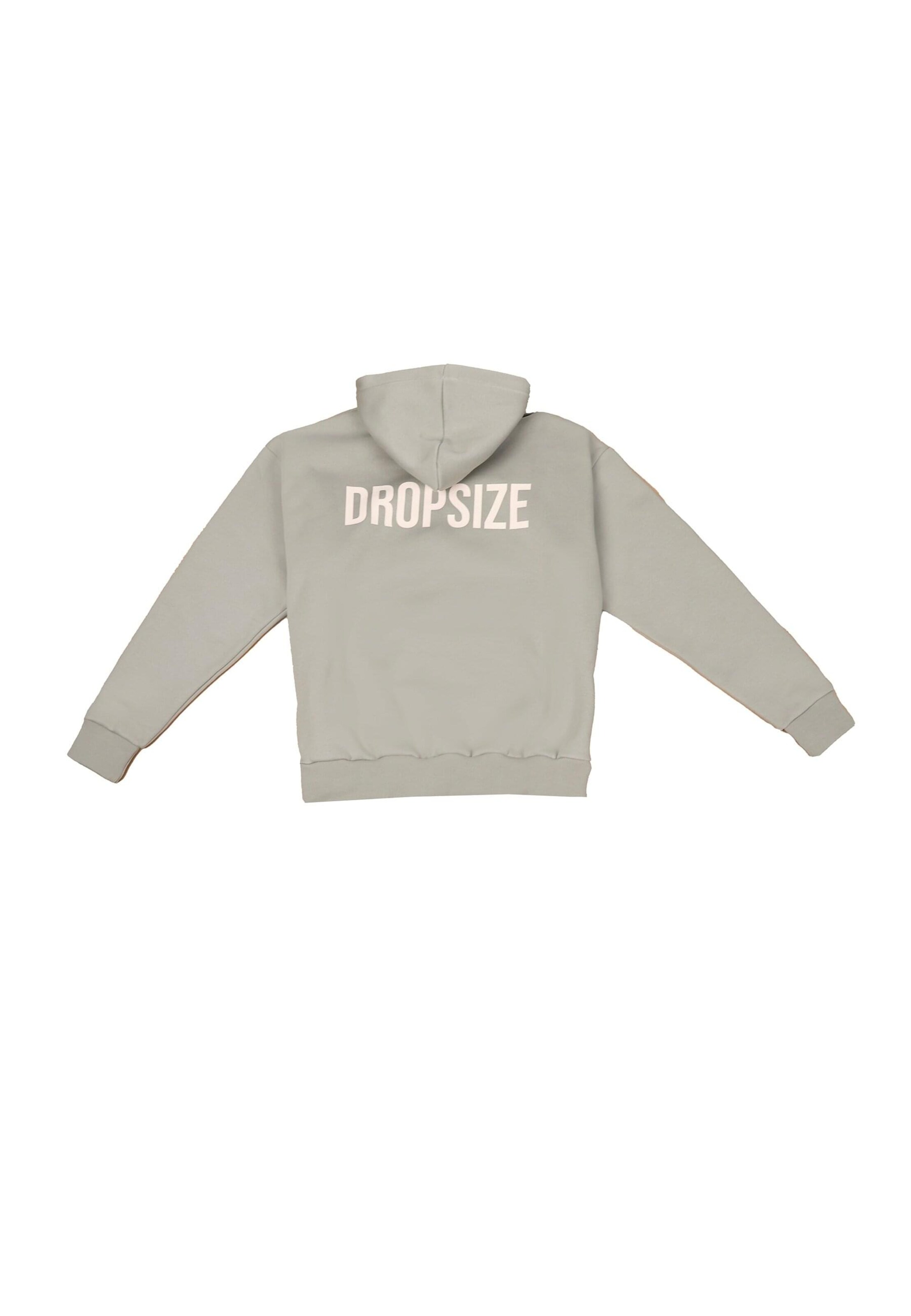 Dropsize Sweatshirt in Grey