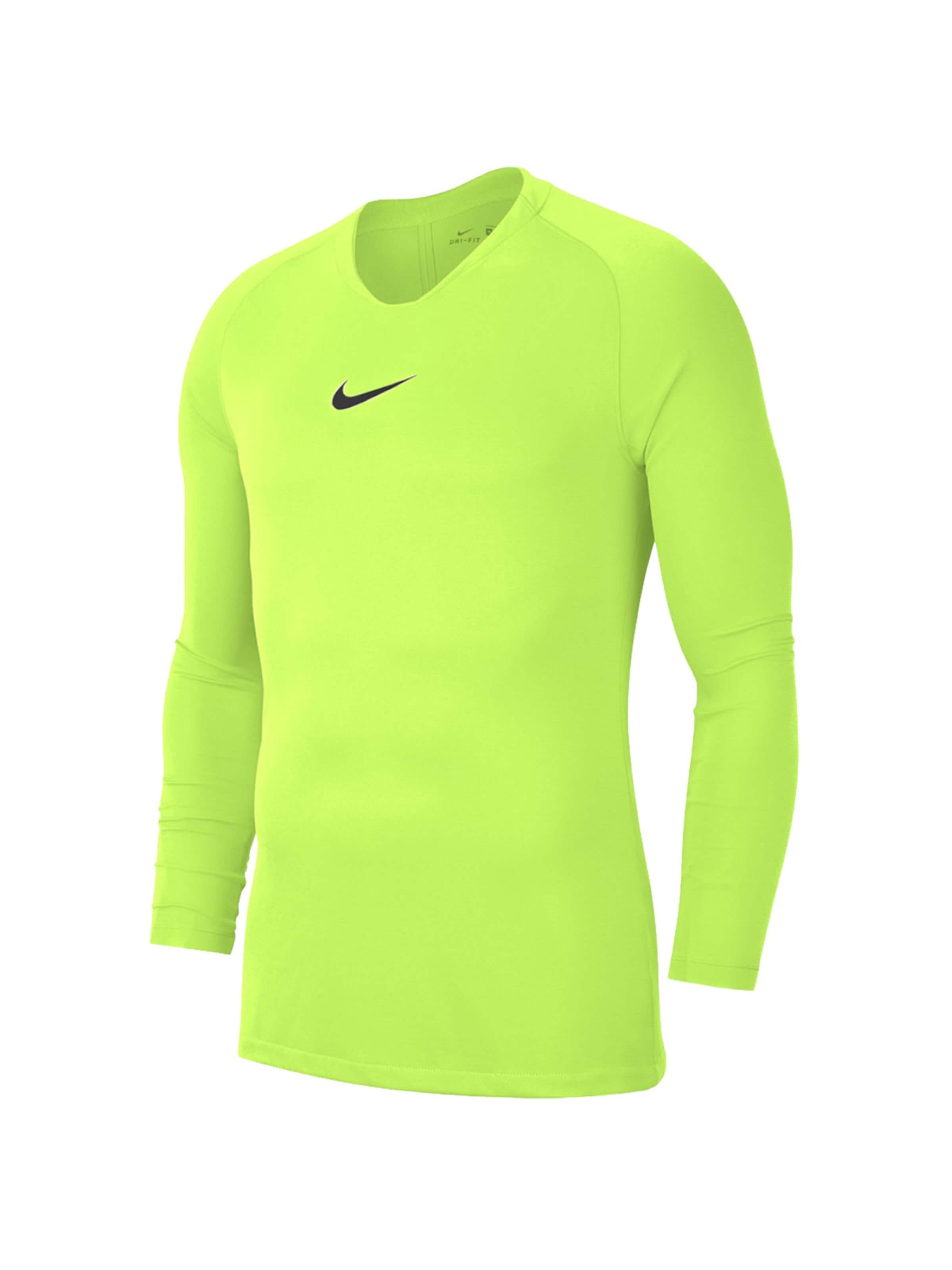 NIKE Shirt 'Nike Dry Park' in Green: front
