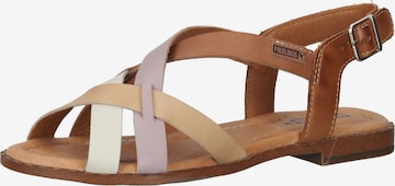 PIKOLINOS Strap Sandals in Mixed colors: front