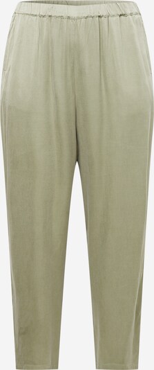 Pantaloni 'Mona' Guido Maria Kretschmer Curvy di colore verde chiaro, Visualizzazione prodotti