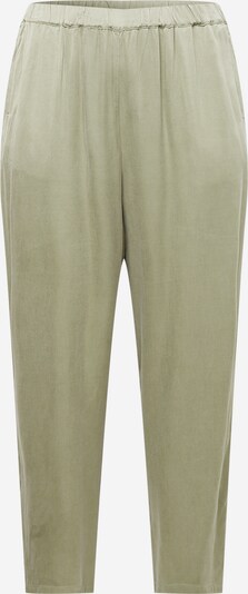 Guido Maria Kretschmer Curvy Pantalon 'Mona' en vert clair, Vue avec produit