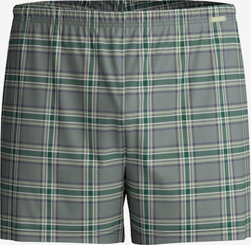 CALIDA Boxer shorts 'Prints' in Green: front