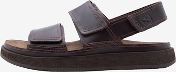 Sandales TIMBERLAND en marron : devant