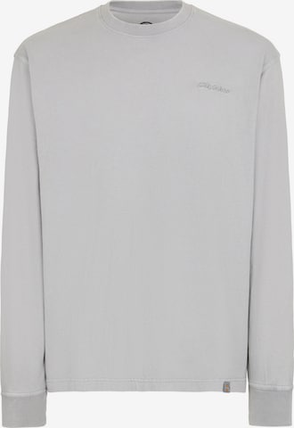 T-Shirt 'PLENTYWOOD' DICKIES en gris : devant