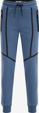 WE Fashion Tapered Broek in Blauw: voorkant