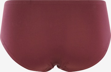 Royal Lounge Intimates Boyshorts 'Shorty Fit' in Red