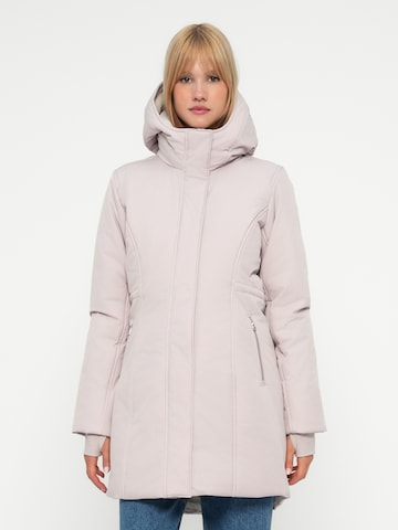 HOLLISTER Winterparka in Grijs: voorkant