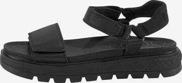 TIMBERLAND Sandale in Schwarz