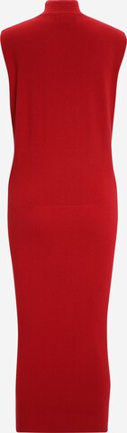 Banana Republic Tall Gebreide jurk 'MOCK' in Rood