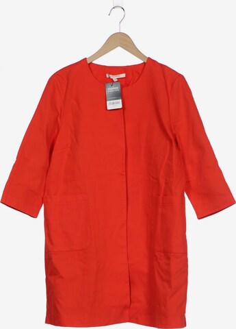 La Fée Maraboutée Jacket & Coat in XXL in Red: front
