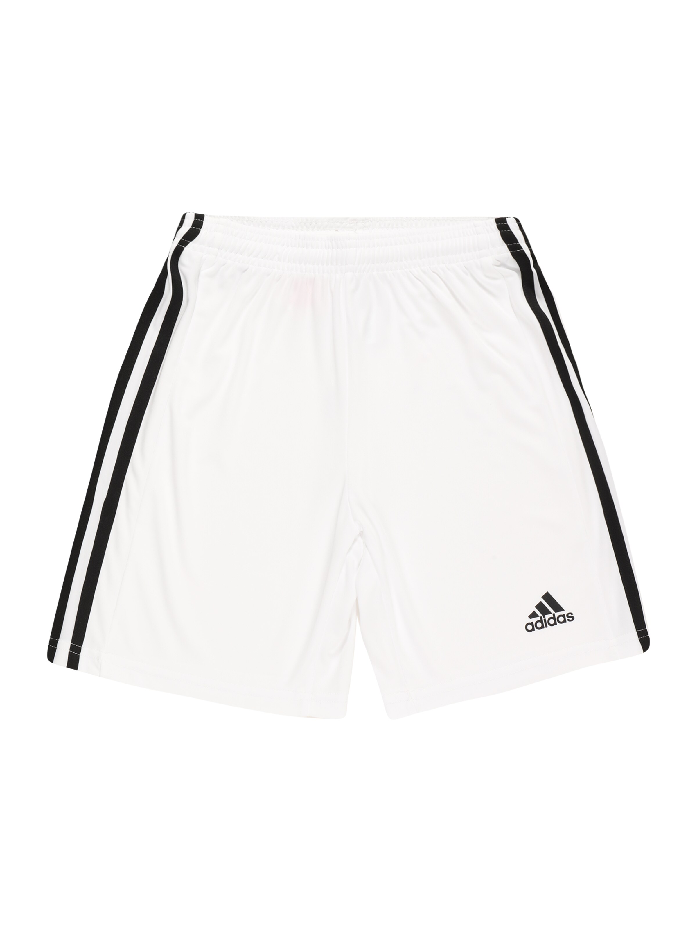 ADIDAS PERFORMANCE Regular Shorts 'Squadra 21' in Weiß: Vorderseite