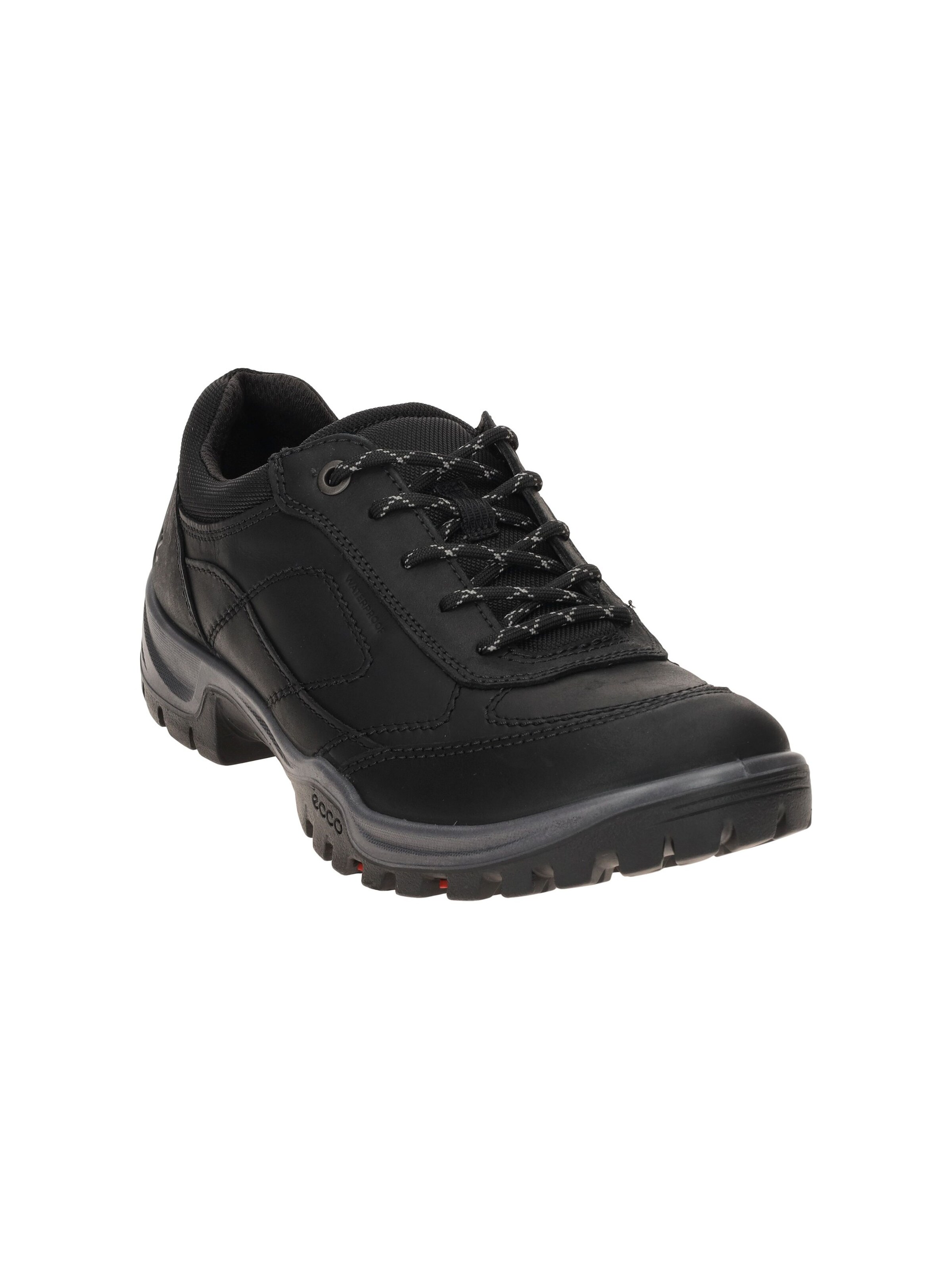 ECCO Lace-Up Shoes in Black