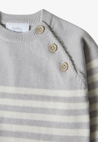 Pull-over Stellou & Friends en gris