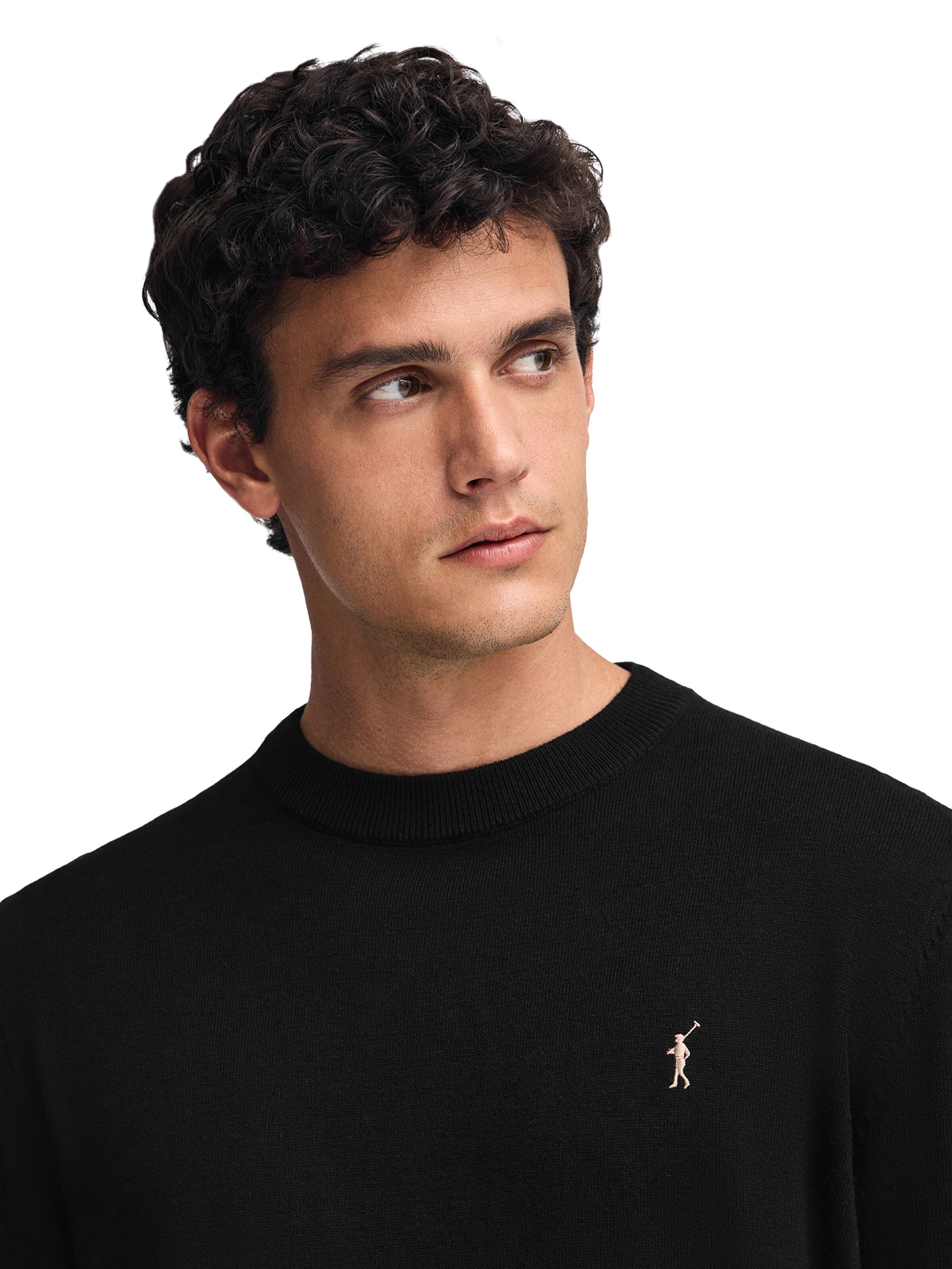 Polo Club Pullover in Schwarz