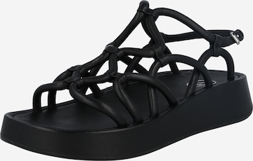 ASH Sandals 'VENUS' in Black: front