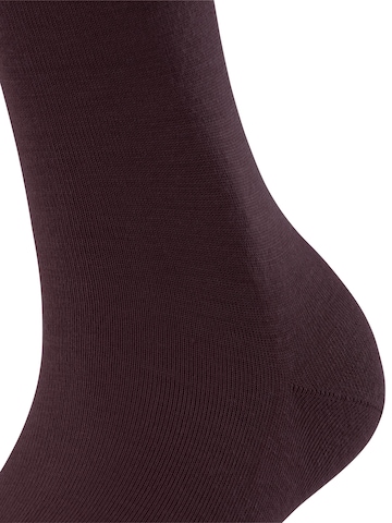 FALKE Knee High Socks 'Softmerino' in Red