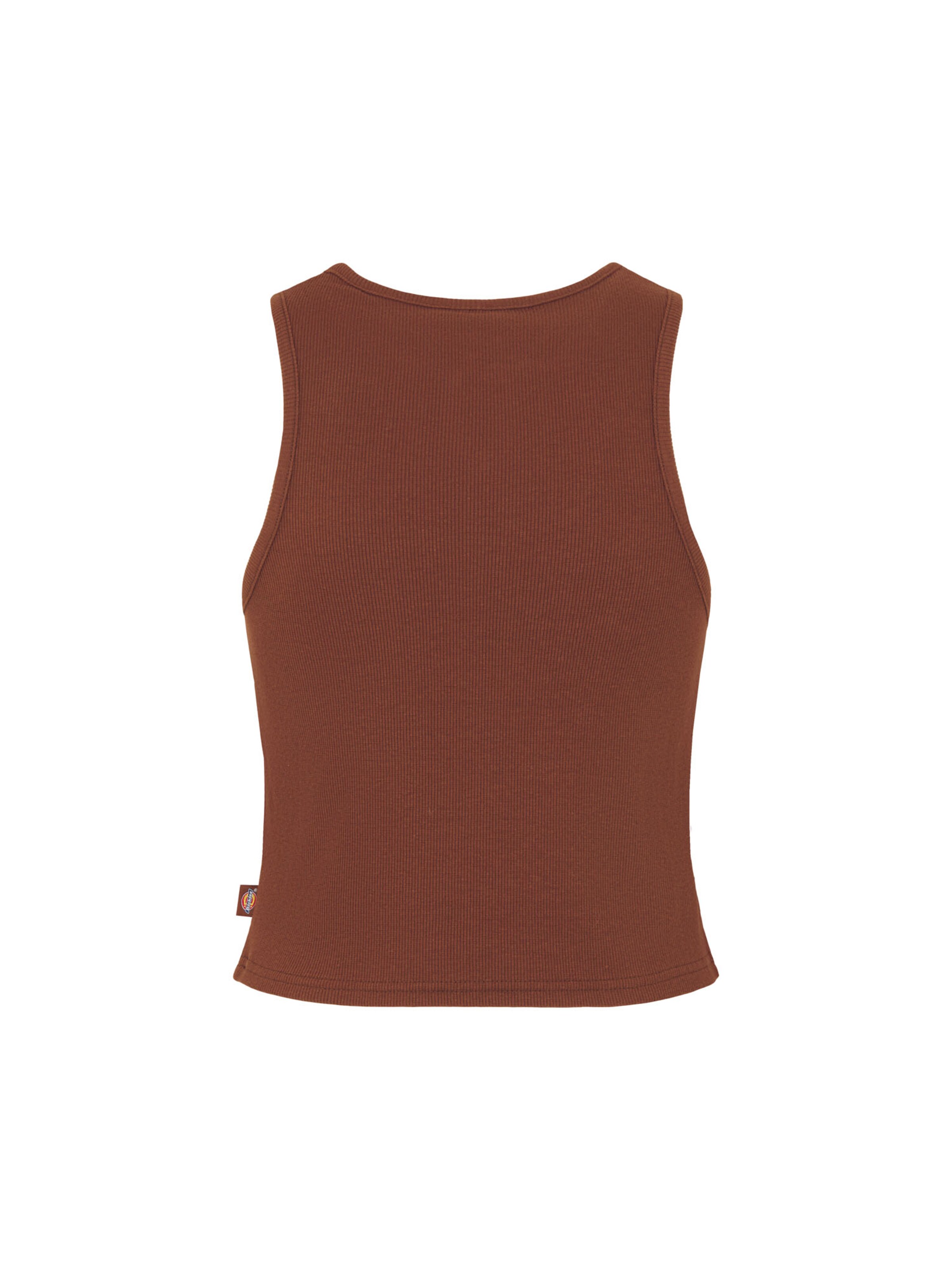 Top di DICKIES in marrone