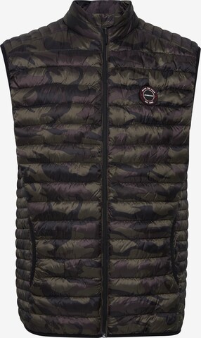 INDICODE JEANS Bodywarmer 'DAVIDE' in Groen: voorkant