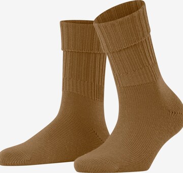 FALKE Socks 'Striggings Rib' in Brown: front