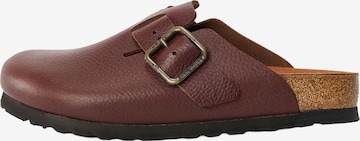 BIRKENSTOCK Pistokkaat 'Boston' värissä ruskea: etupuoli