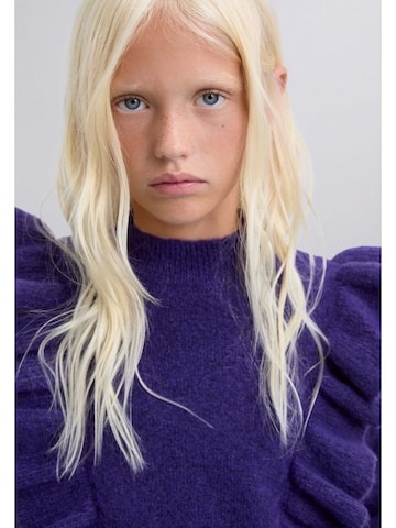 Scalpers Pulover ' ' | vijolična barva