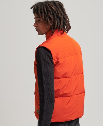 Gilet 'Vintage Mountain' Superdry en rouge