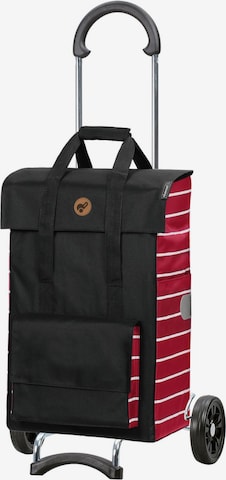 Andersen Shopper Trolley in Gemengde kleuren: voorkant