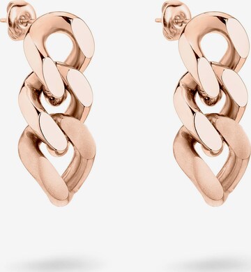 Liebeskind Berlin Earrings in Gold