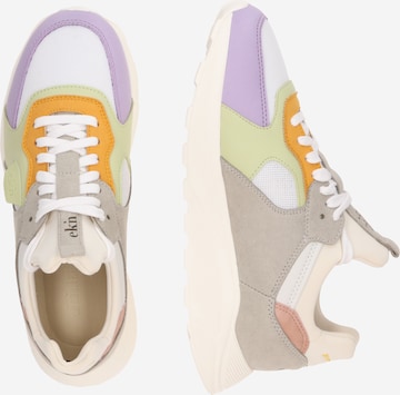 EKN Footwear Sneakers 'LARCH' in Mixed colors