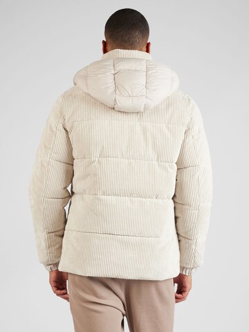 SAVE THE DUCK Winter Jacket 'Albus' in Beige